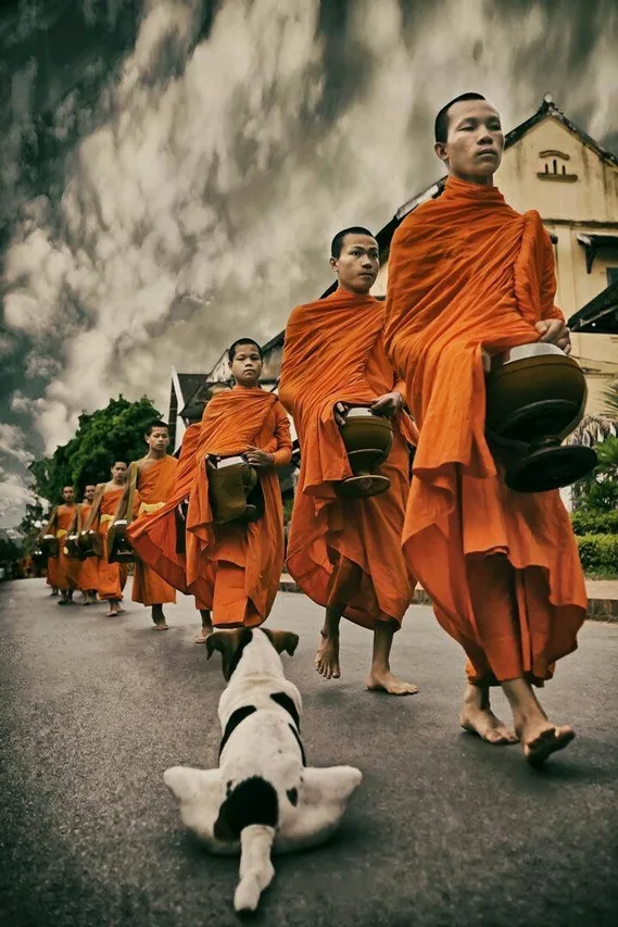 Bhikkhus caminando en ronda de limosnas, en blanco y negro